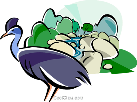 480x358 Australia Daintree Rainforest Royalty Free Vector Clip Art