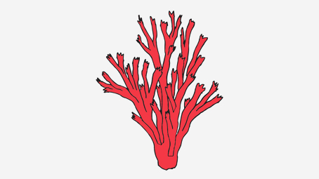 454x255 Top 10 Coral Coloring Pages For Toddler