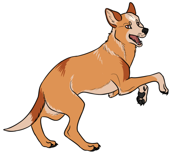 600x568 Australian Cattle Dog Clip Art