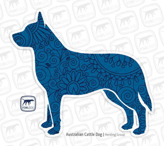 548x487 Australian Cattle Dog Decal