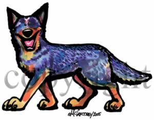 300x234 Australian Cattle Dog