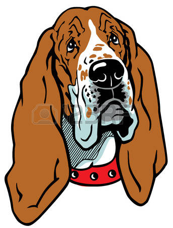 343x450 Basset Hound Clipart