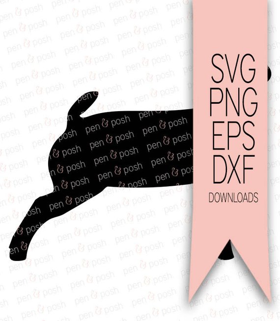 570x653 Show Goat Svg