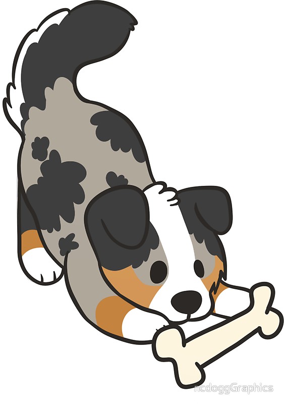 Australian Shepherd Clipart at GetDrawings | Free download