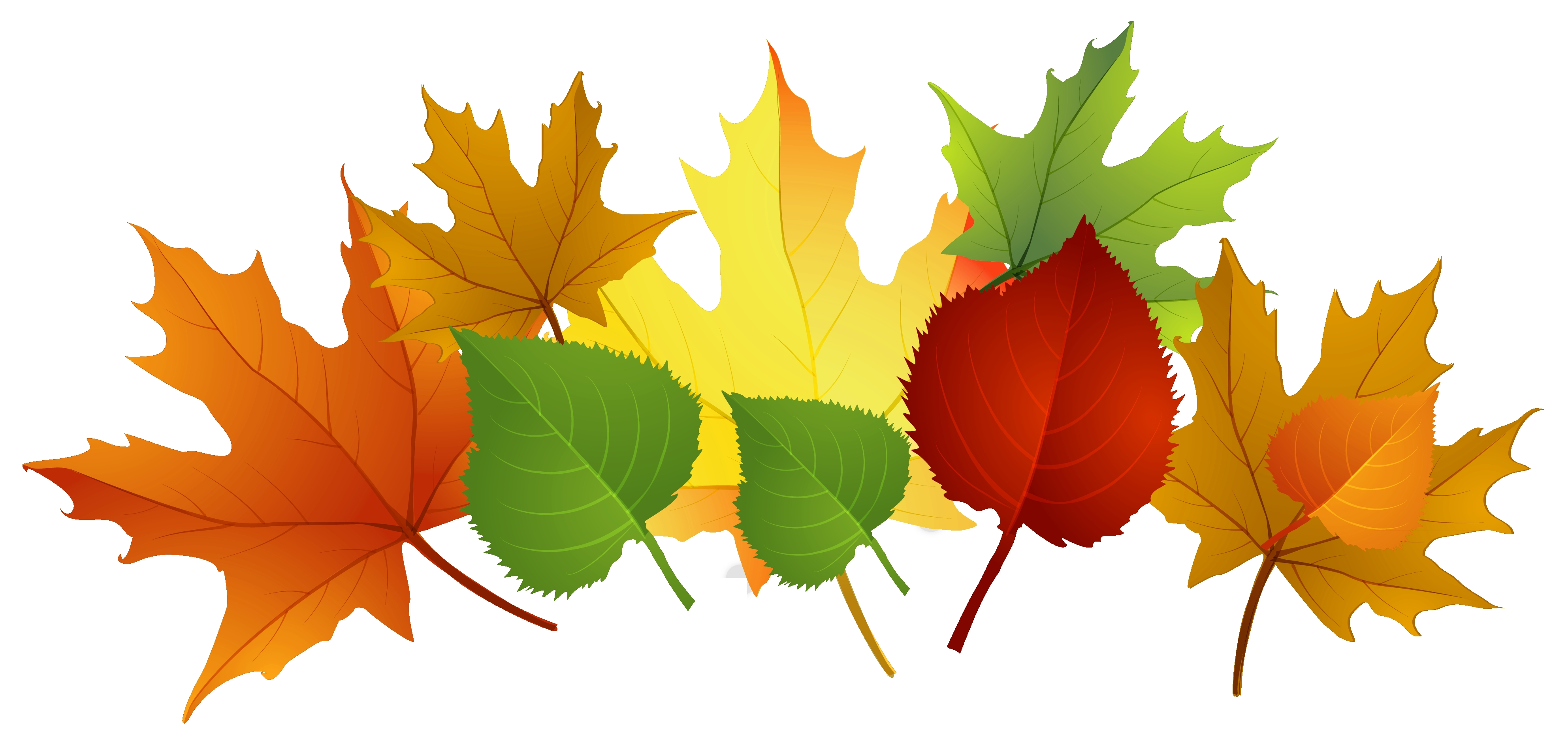 3969x1910 Fresh Fall Clipart Free Design