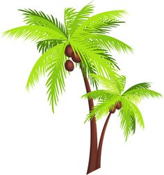 236x251 Palm Tree Png Images, Download Free Pictures