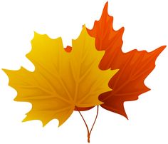 236x202 Autumn Leaves Branch Png Clipart Image