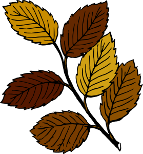 279x300 Autumn Leaves On Branch Clip Art Free Vector 4vector