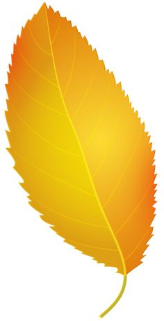 236x462 Red Fall Leaf Png Clip Art Clip Art Fall Leaves