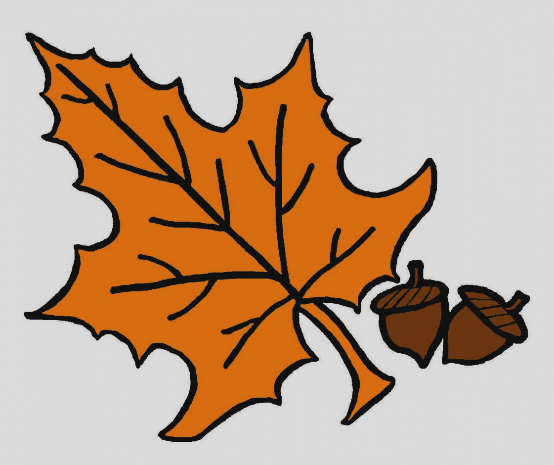 1121x940 Amazing Of Autumn Clip Art Branch With Leaves Png Clipart Gallery