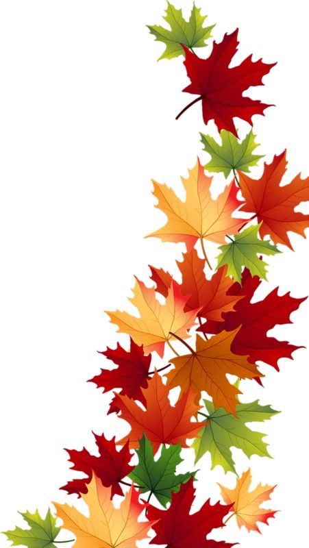 451x800 Autumn Cover Autumn, Leaves And Tattoo