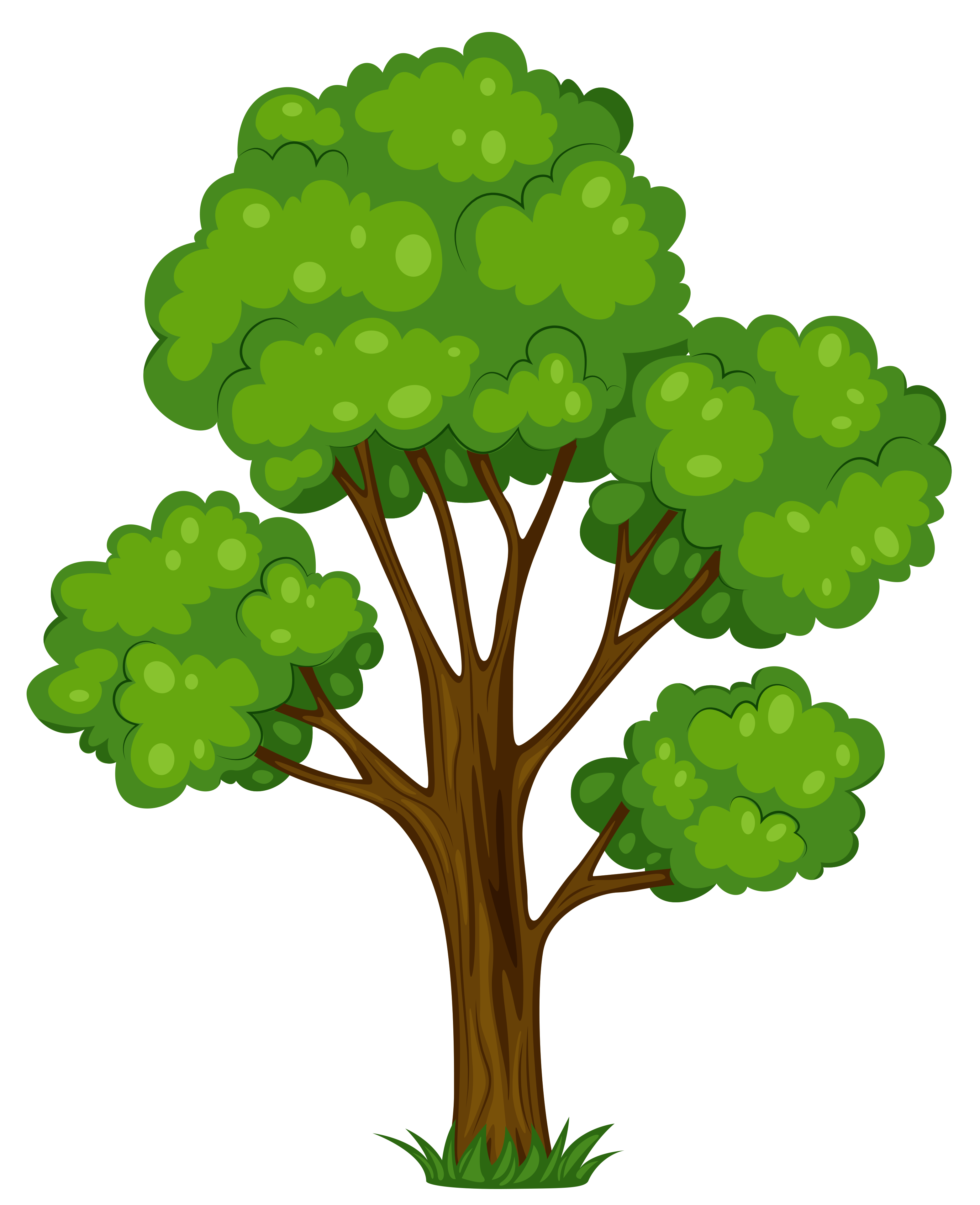 3126x3842 Tree Clip Art Free Clipartlook