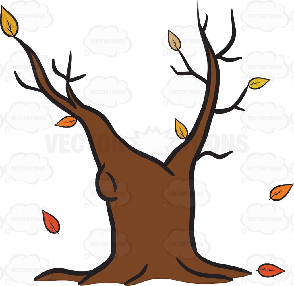 1024x995 Withered Foliage Clipart