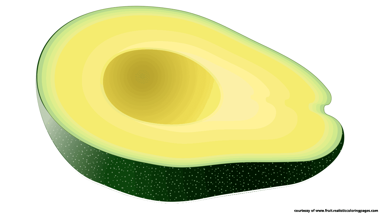 Avocado Clipart