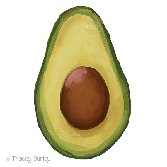 570x570 Avocado Original Art Download 2 Files Avocado Printable