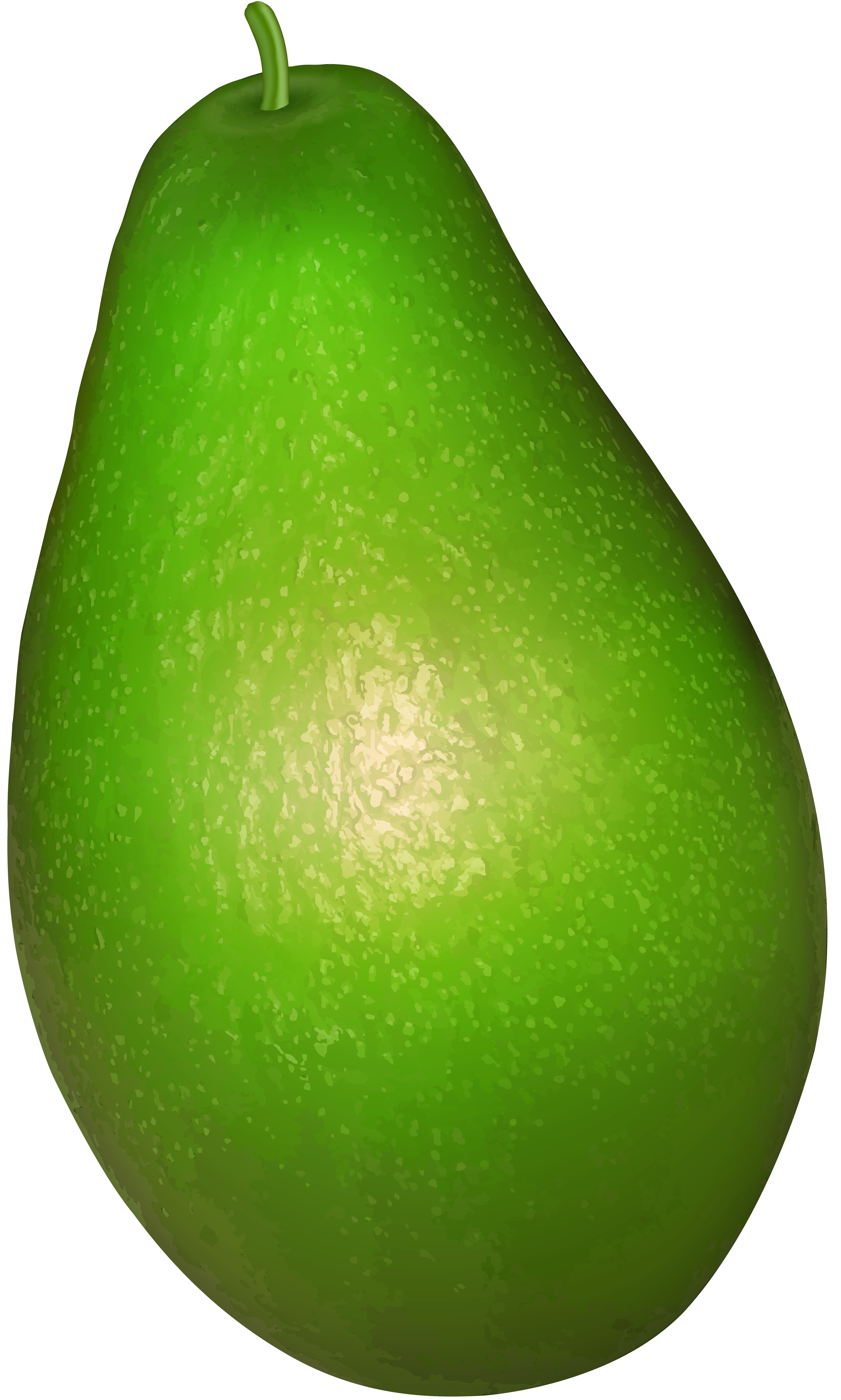 4807x8000 Avocado Transparent Png Clip Artu200b Gallery Yopriceville