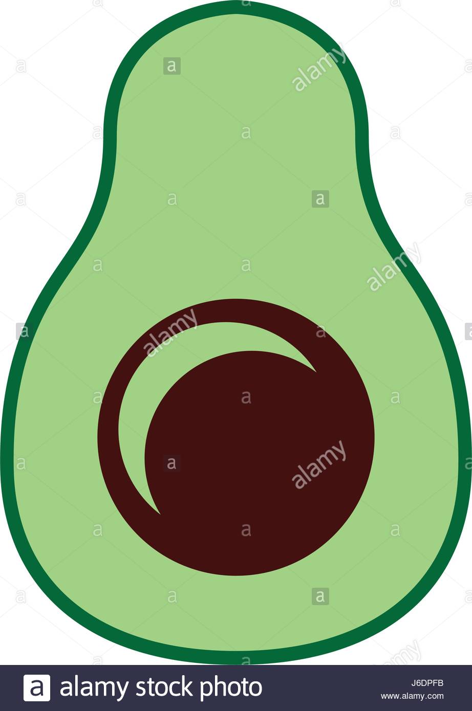 922x1390 Avocado Clipart Vegetable