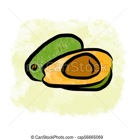 450x470 Colored Drawing Of Avocados. Fresh Design Of Colorful Fruits