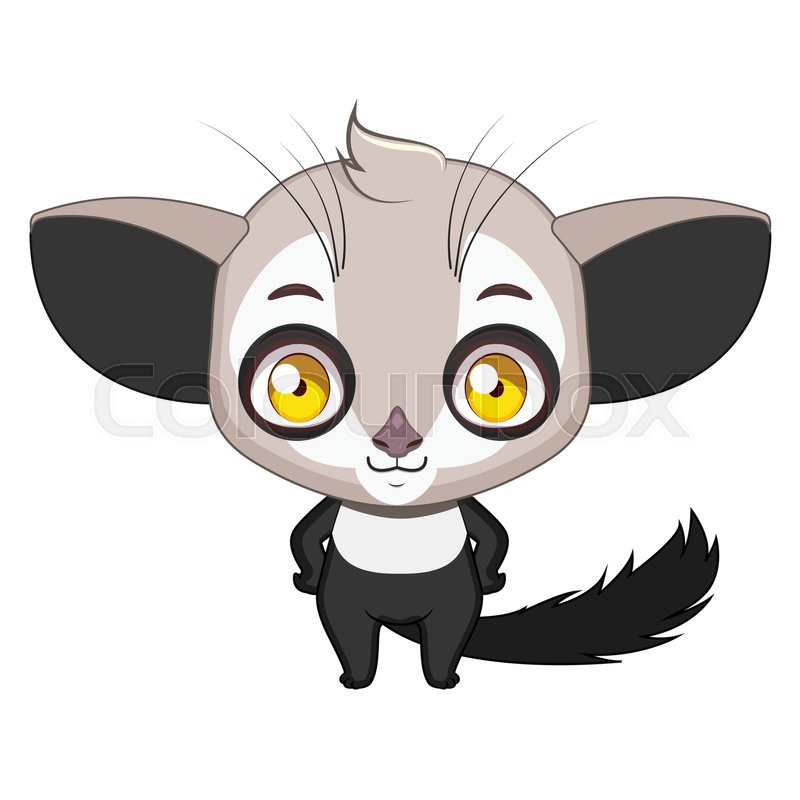 800x800 Cute Stylized Cartoon Aye Aye Illustration ( For Fun Educational