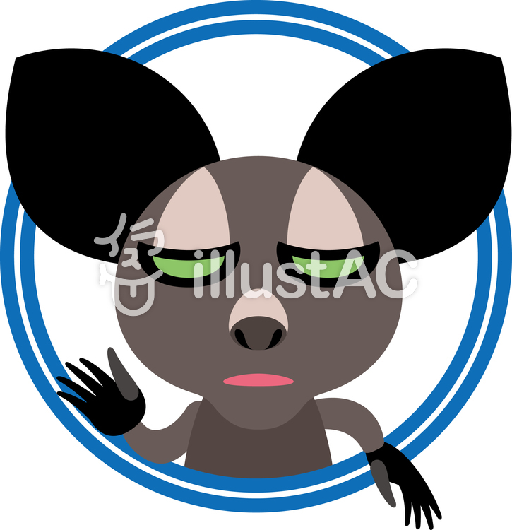 725x750 Aye Aye , Aiai,