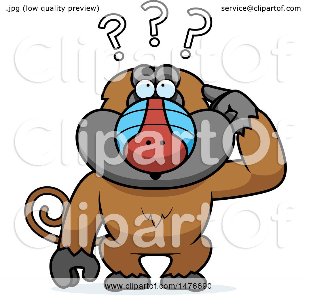 1080x1024 Clipart Of A Confused Baboon Monkey Scratching His Head
