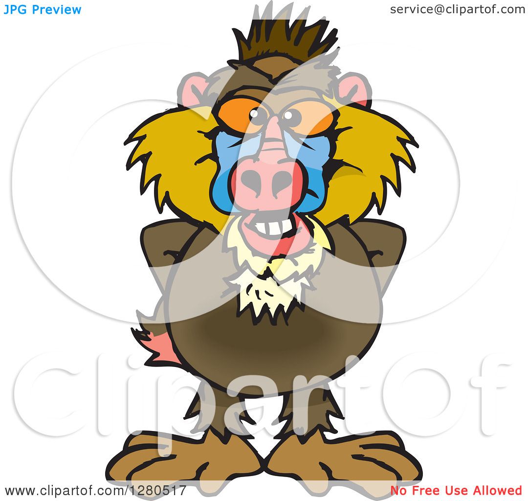 1080x1024 Clipart Of A Happy Baboon
