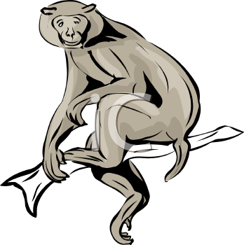 348x350 Royalty Free Monkey Clipart