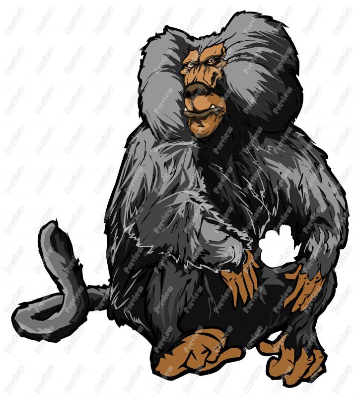 719x800 Baboon Character Clip Art