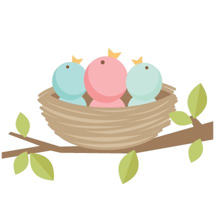 Baby Bird Clipart