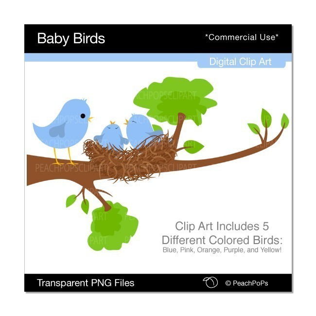 650x650 Bird's Nest Clipart Branch