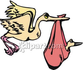 350x295 The Stork Delivering A Baby Bird