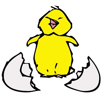 353x350 Baby Chick Hatching Clipart