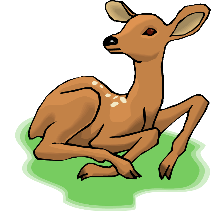 750x744 Baby Deer Clipart Free Clip Art Images