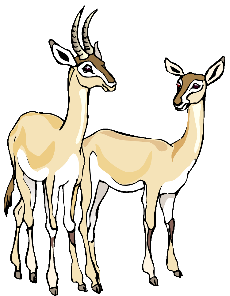 750x967 Top 87 Gazelle Clipart