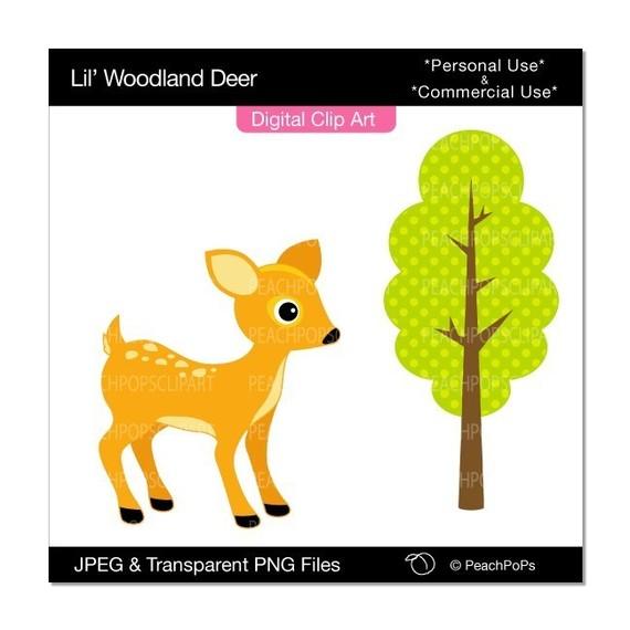 570x570 Baby Fawn Clipart