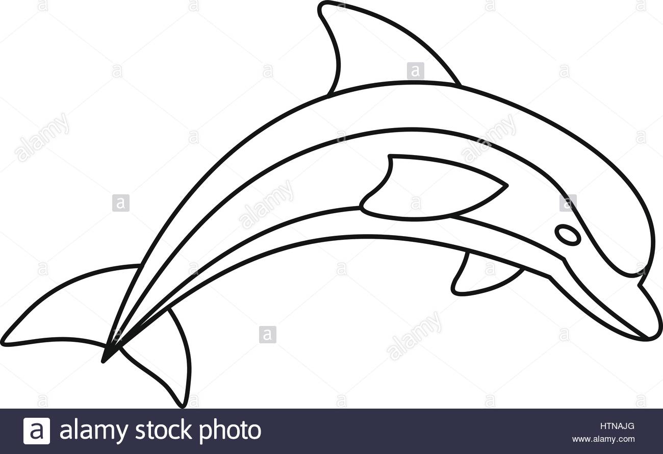1300x890 Now Outline Of Dolphin Thebarnyard