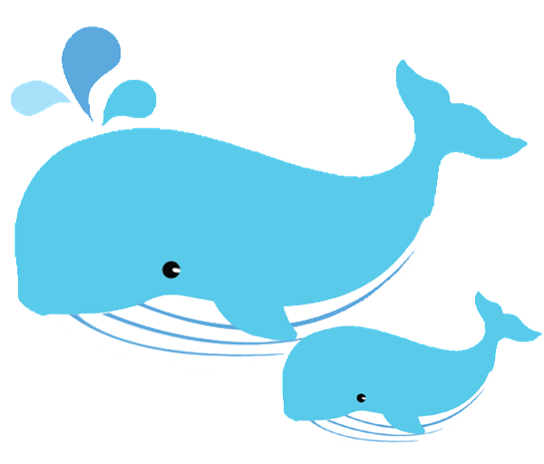 600x512 Dolphin Clip Art With Transparent Background
