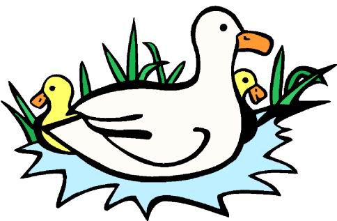 484x317 Clip Art Ducks Clipartlook