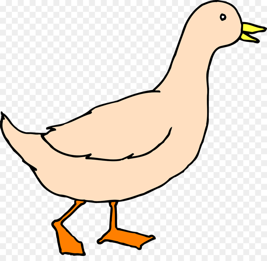 900x880 Baby Duckling Mallard Clip Art