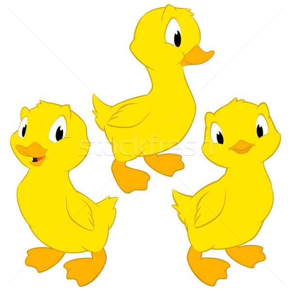 600x600 Cartoon Baby Ducks Vector Illustration Muhamad Nuh (Mumut