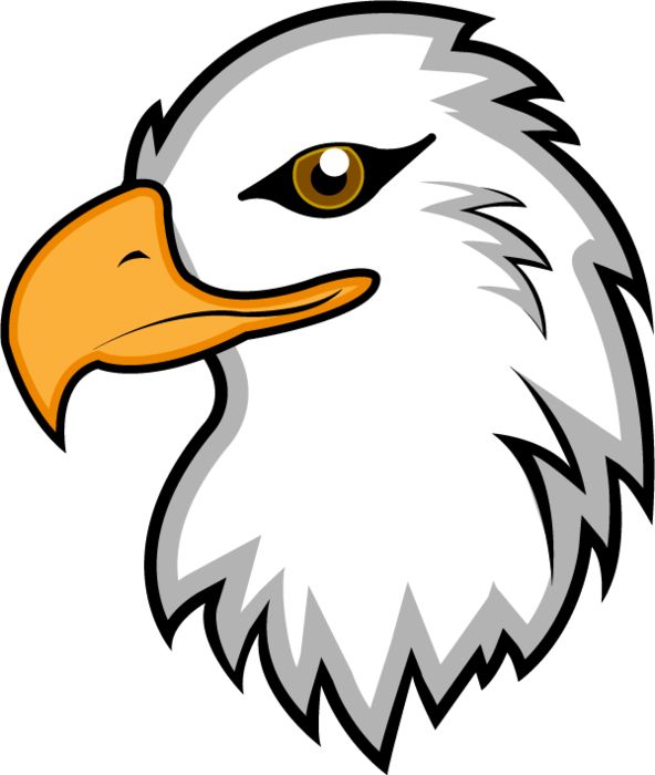 Baby Eagle Clipart