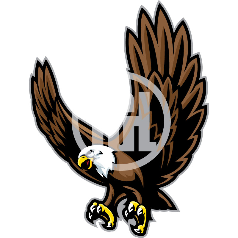 800x800 Bald Eagle Clipart Cute