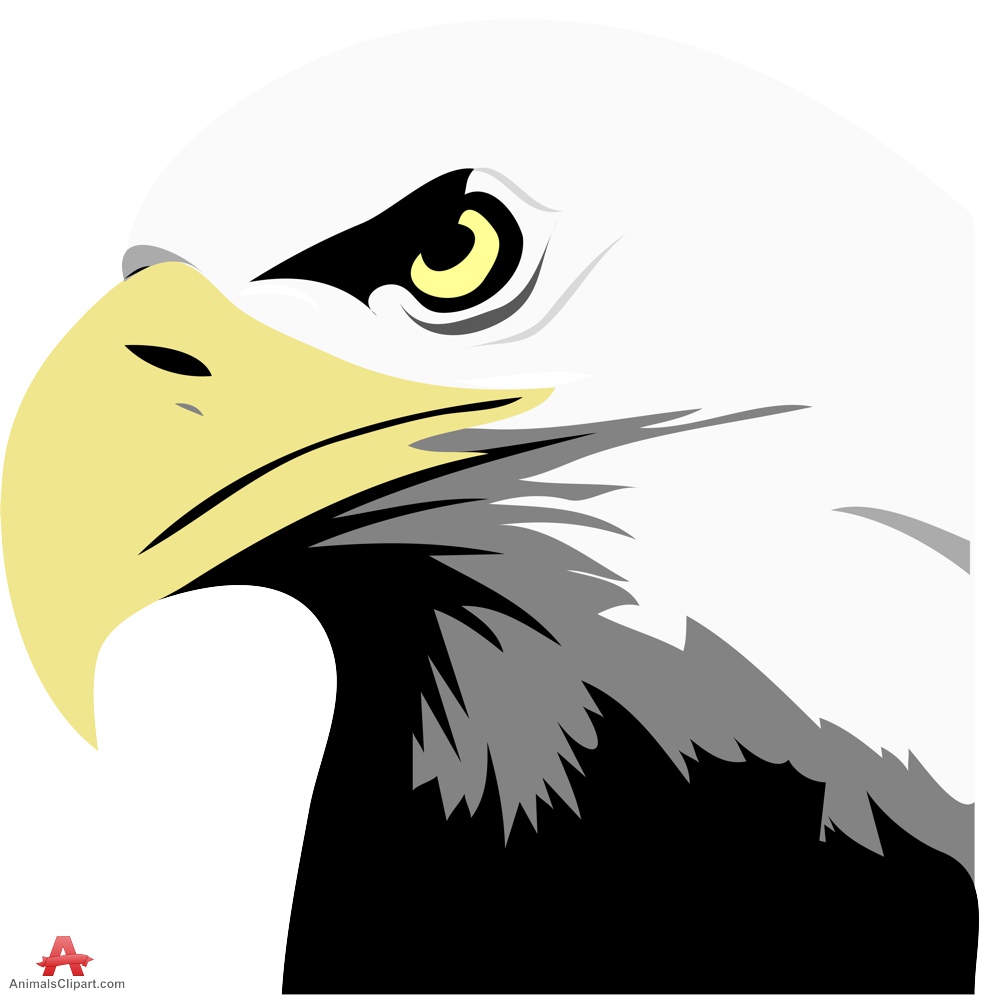 999x995 Bald Eagle Clipart Prey