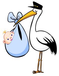 236x302 Stork Carrying Baby Girl