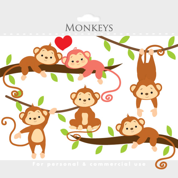 570x570 Monkey Clipart