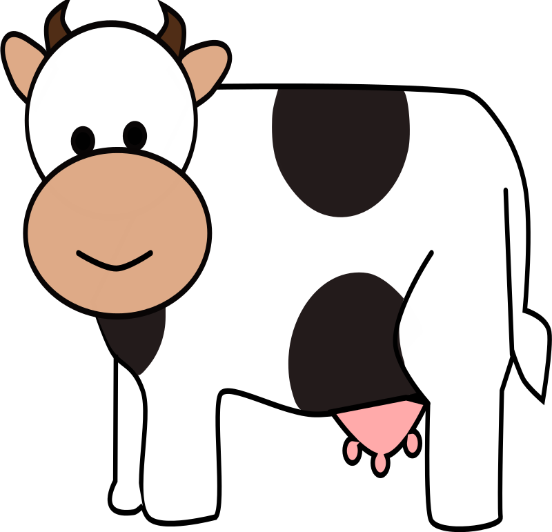 800x771 Baby Cow Clipart Clipartlook