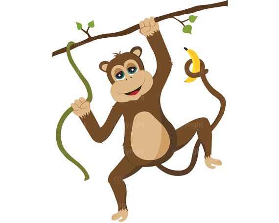 570x455 55 Best Monitos Images On Monkeys, Monkey And Dungarees