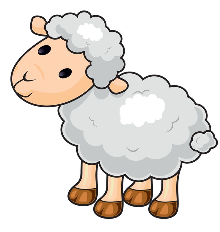736x775 Top 74 Sheep Clipart