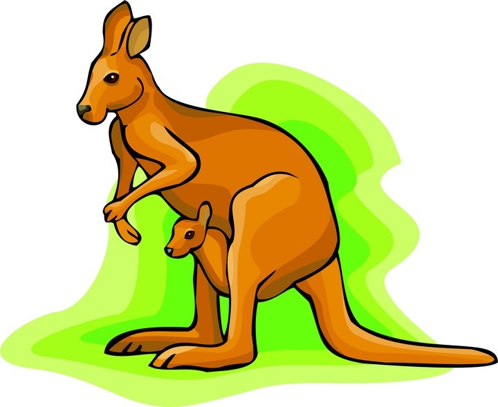 720x589 Kangaroo Cliparts Footpints Free Download Clip Art Free Clip