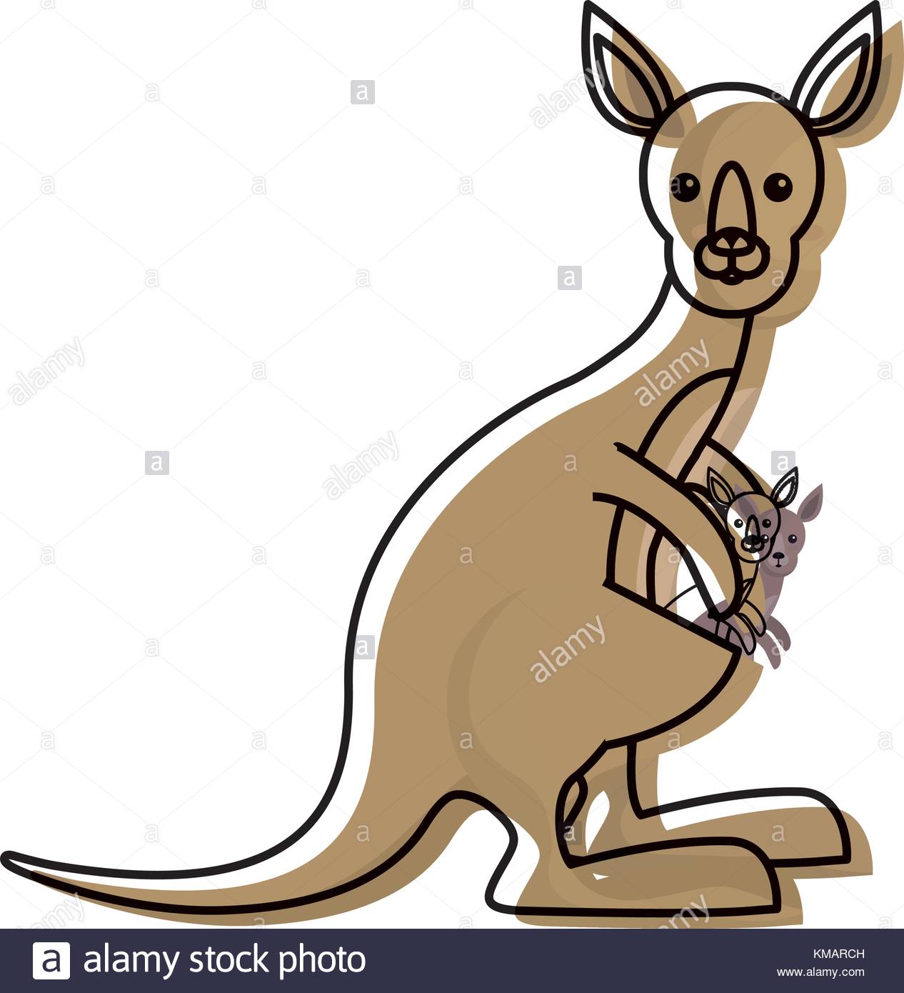 1266x1390 Mother And Baby Kangaroo Cut Out Stock Images Amp Pictures